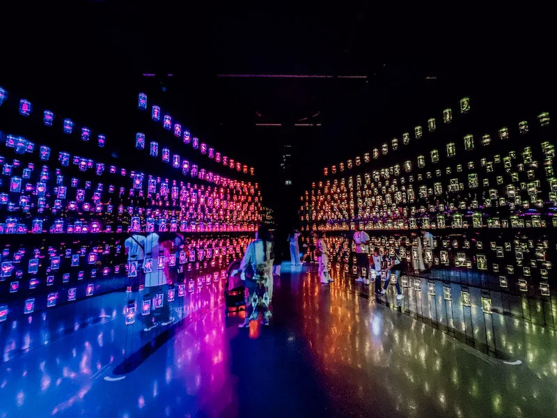 The Library of Life exhibition at Museum of the Future