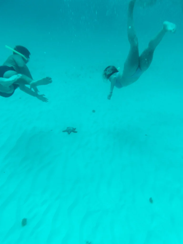 A couple snorkeling in Playa del Carmen, and a starfish on the bottom of the sea