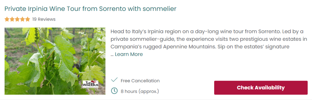 Private Irpina WIne Tour from Sorrento with Sommelier