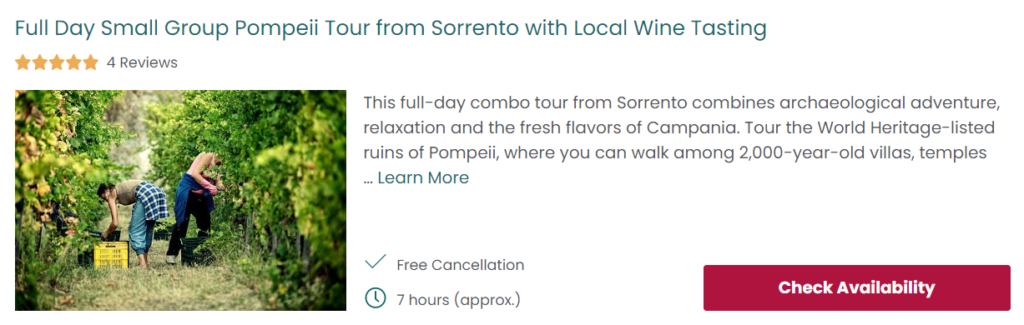 Full Day Small Group Pompeii Tour from Sorrento with Local Wine Tasting 