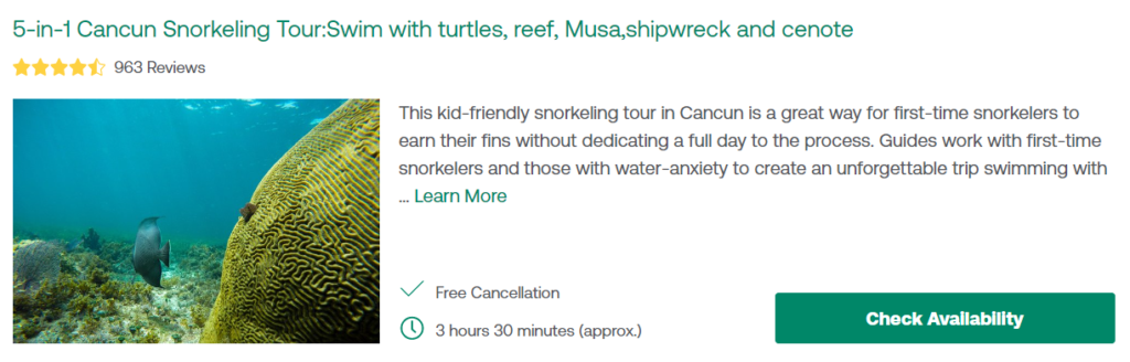 5-in-1 Cancun Snorkeling Tour:Swim with turtles, reef, Musa,shipwreck and cenote