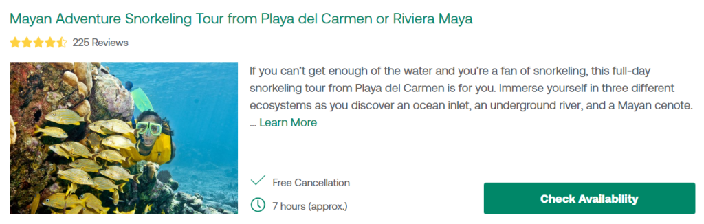 Maya Adventure Snorkeling Tour from Playa del Carmen or Riviera Maya