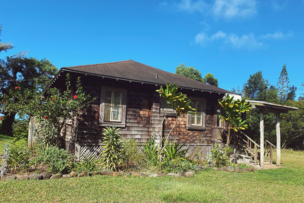 Image of a small cabin surrounded by plants and grass