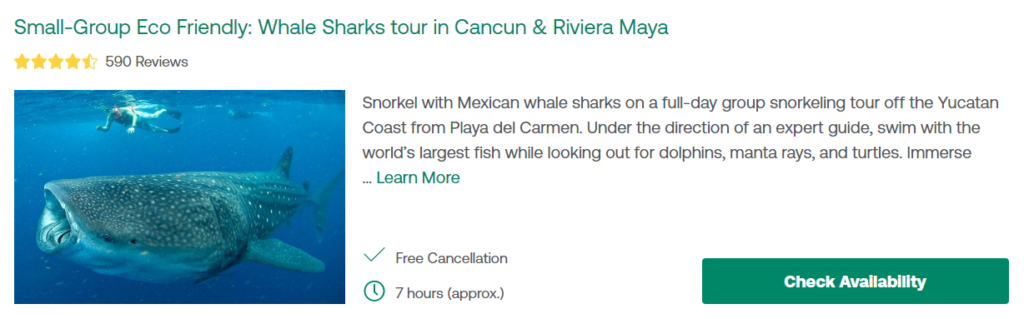 Small-Group Eco Friendly: Whale Sharks tour in Cancun & Riviera Maya