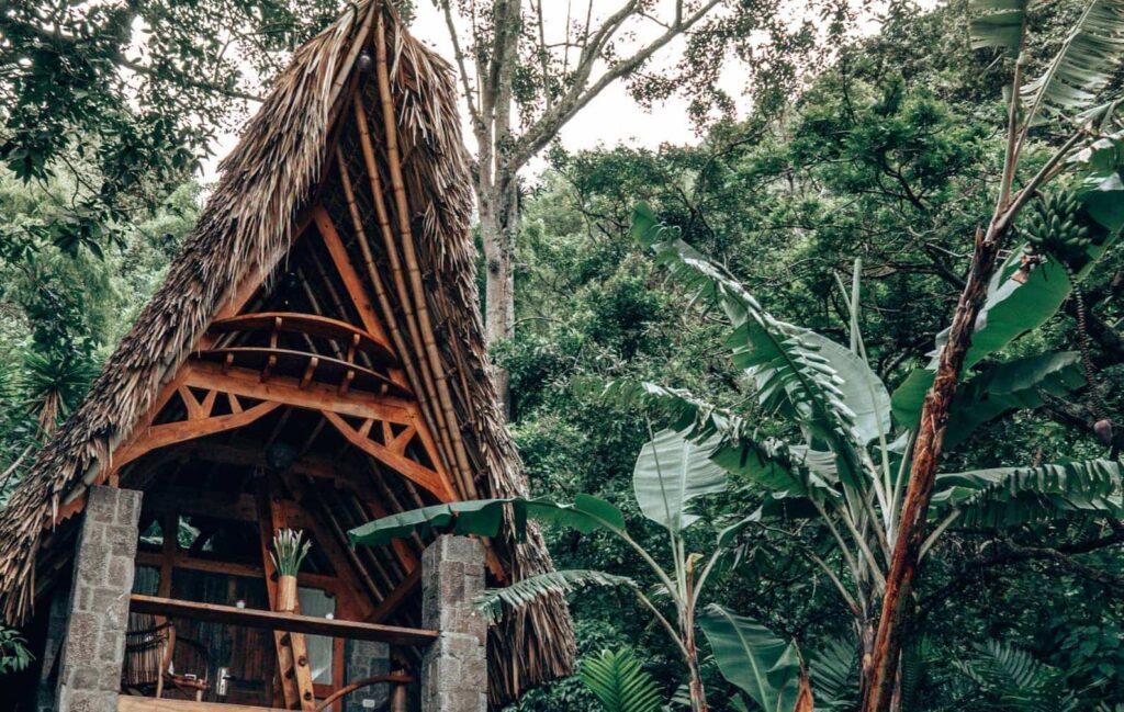 An eco hotel with trees and plants in the background