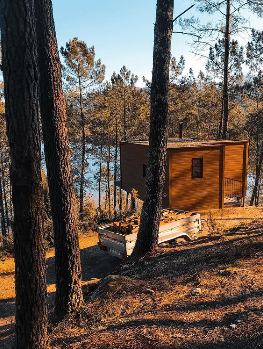 Image of a wooden cabin located among the pine trees