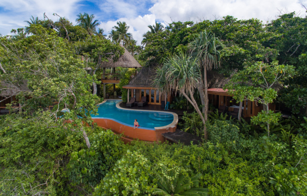 Image of dense vegetation and, in the middle, a swimming pool with a woman in it, admiring the landscape. 