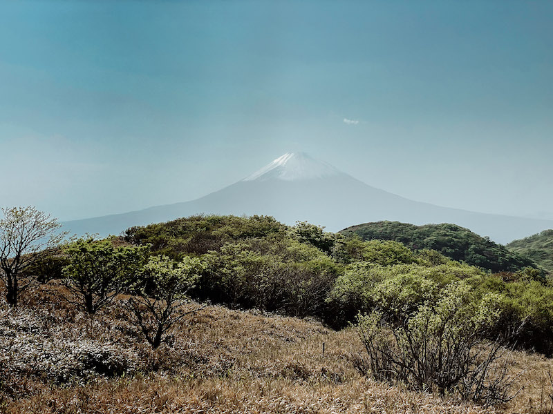 Mount Fuji seen in the distance, with lush vegetation in the foreground