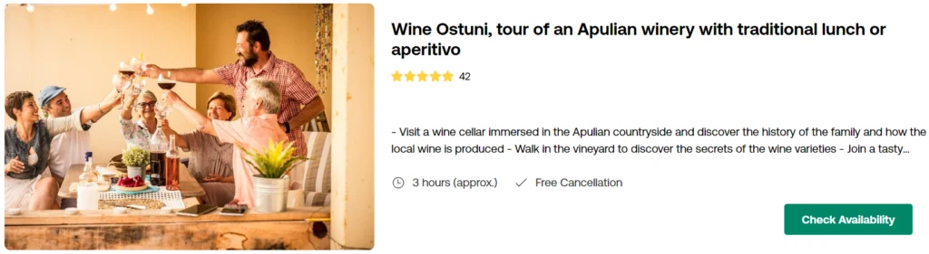 Wine Ostuni, tour of an Apulian winery with traditional lunch or aperitivo