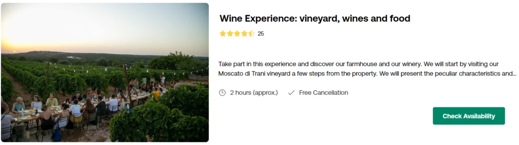 Wine Experience: vineyard, wines and food