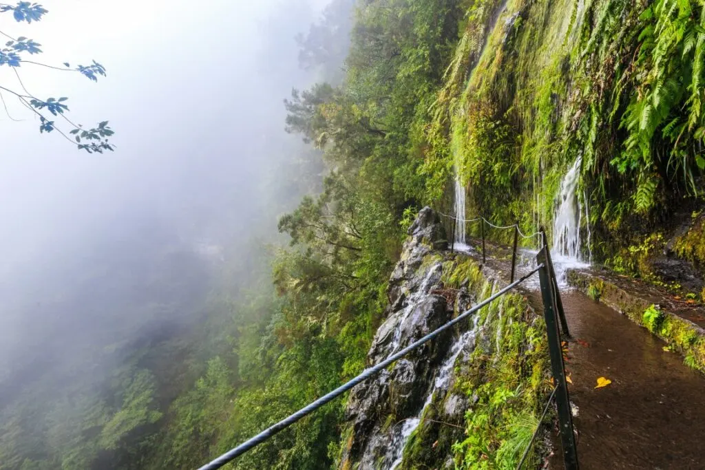 A trail in Madeira with small waterfalls and lush vegetation where to go hiking