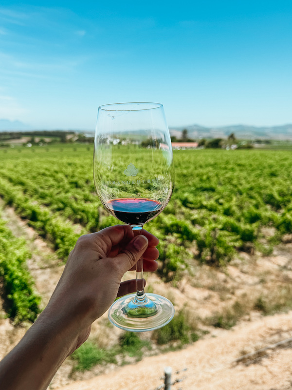 A hand holding a glass of red wine overlooking a lush vineyard under a clear blue sky.