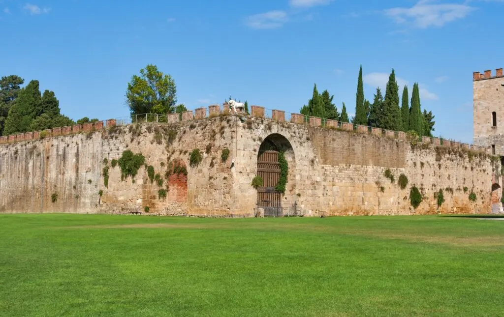 Picture of the ancient city walls of Pisa, with vividly green grass on the lower part of the image and blue skies on the upper part