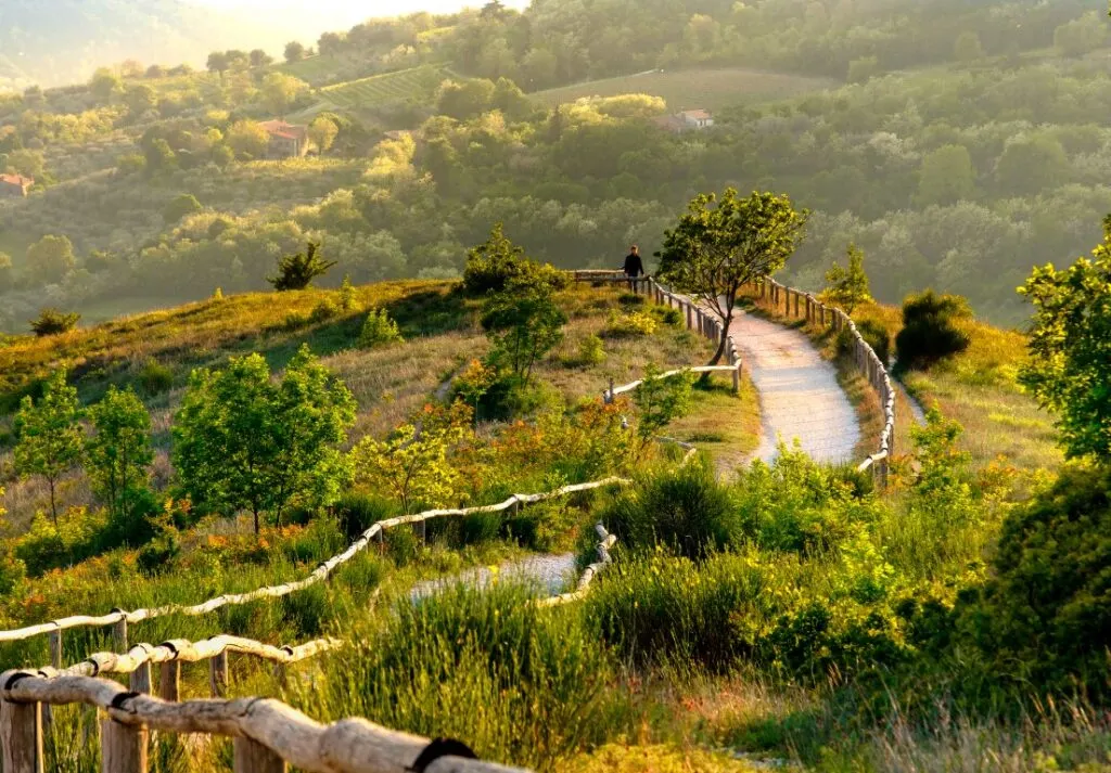 Image of a trail, surrounded by greenery, and hills in the background