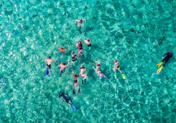 Drone photo of multiple people snorkeling.