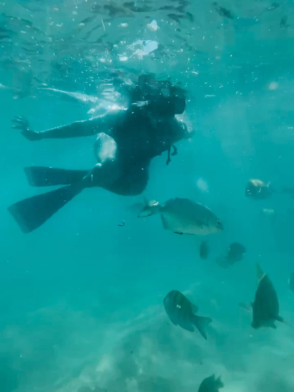 A woman snorkeling in the Caribbean Sea