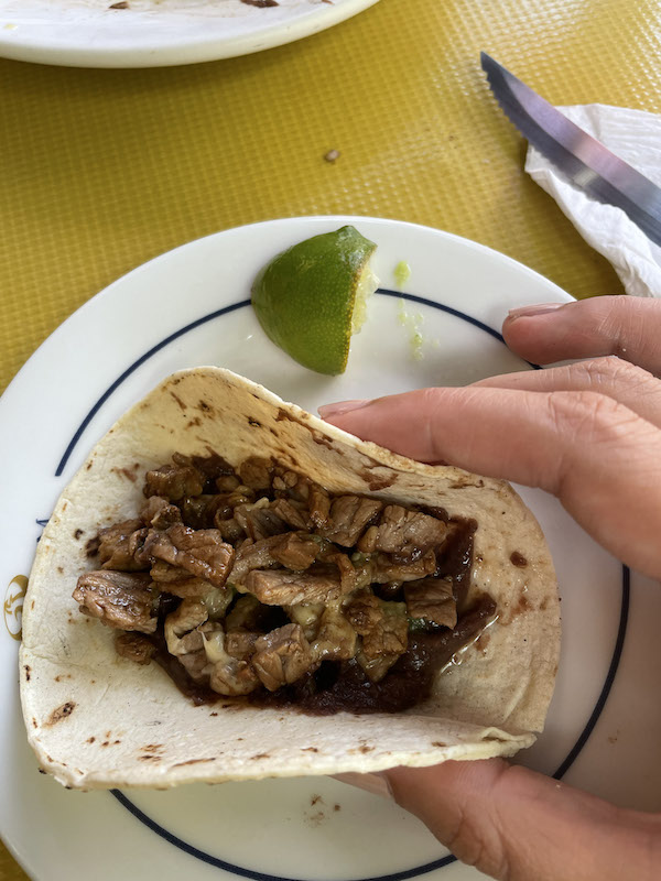 Man holding a tortilla filled with meat and a brown sauce on a white plate.
