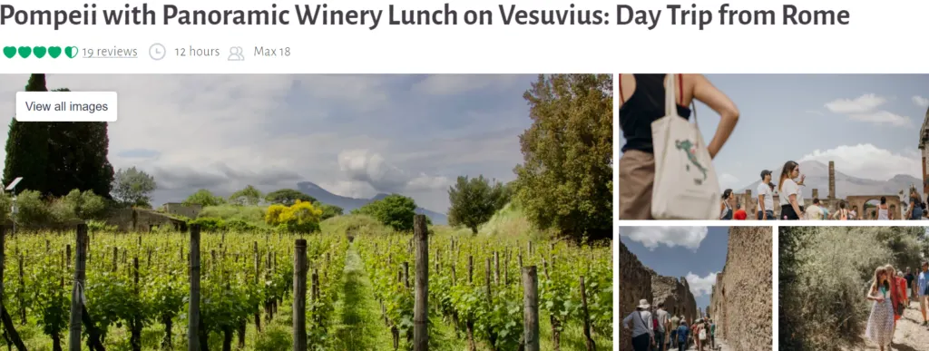 Pompeii with Panoramic Winery Lunch on Vesuvius: Day Trip from Rome