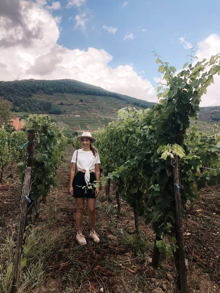 A woman wearing a white t-short and black shorts, standing between two vines in a vineyard