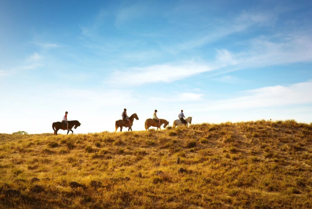 Four people horseback riding during sunset 