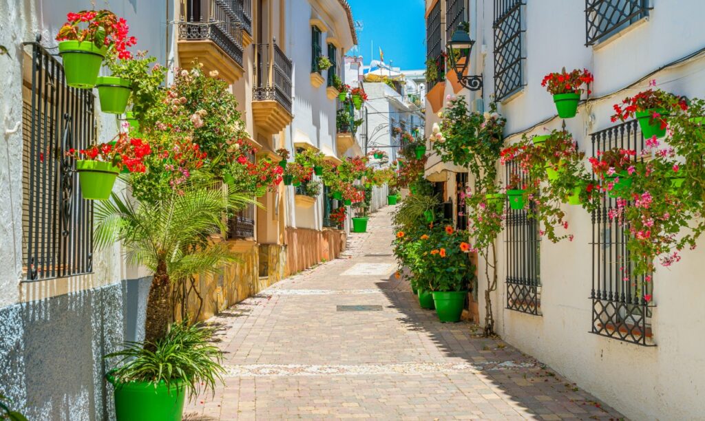 A narrow street lined by houses whose facades are completely covered in greet flower pots, brimming with colorful flowers and plants