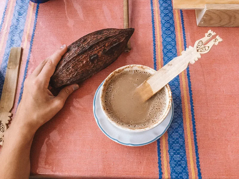 Cup of hot chocolate on a pink tablecloth and hand holding a dry cacao bean.