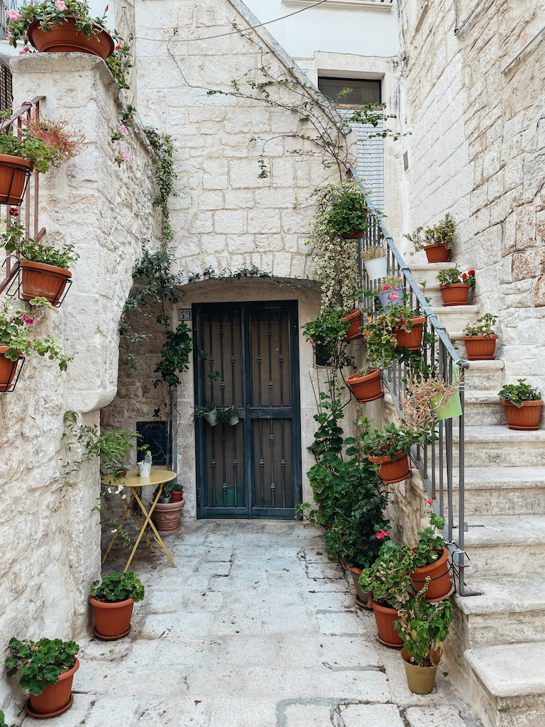 A door in a white building completely surrounded by plants, and a staircase to the right of the image