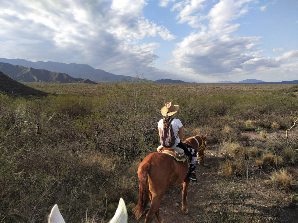 Woman with a straw hat on a brown horse, mountains in the background.