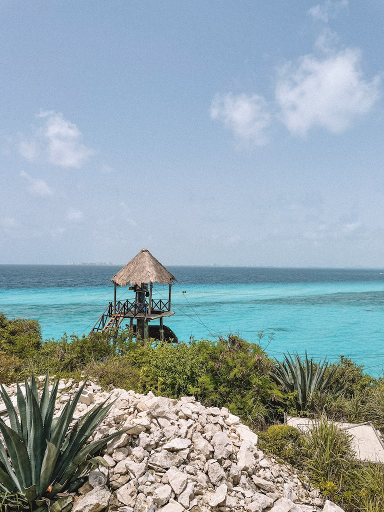 Image of the Caribbean Sea, with vegetation and rocks in the foreground