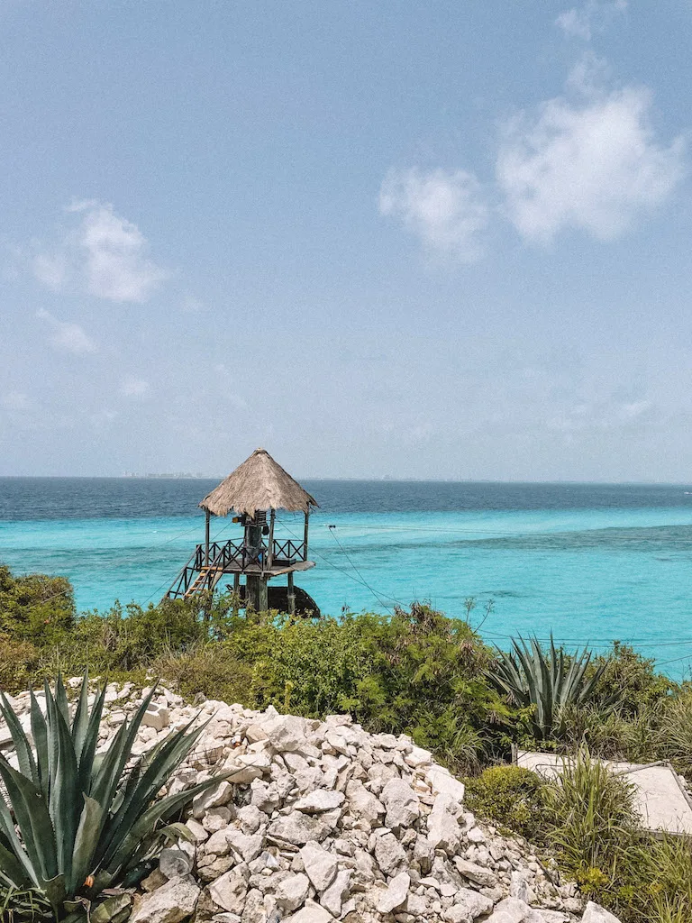 Image of the Caribbean Sea, with vegetation and rocks in the foreground