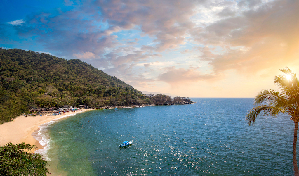 Image of a beach with vegetation on the left, a stretch of coastline, the sea, and a palm tree to the right. 