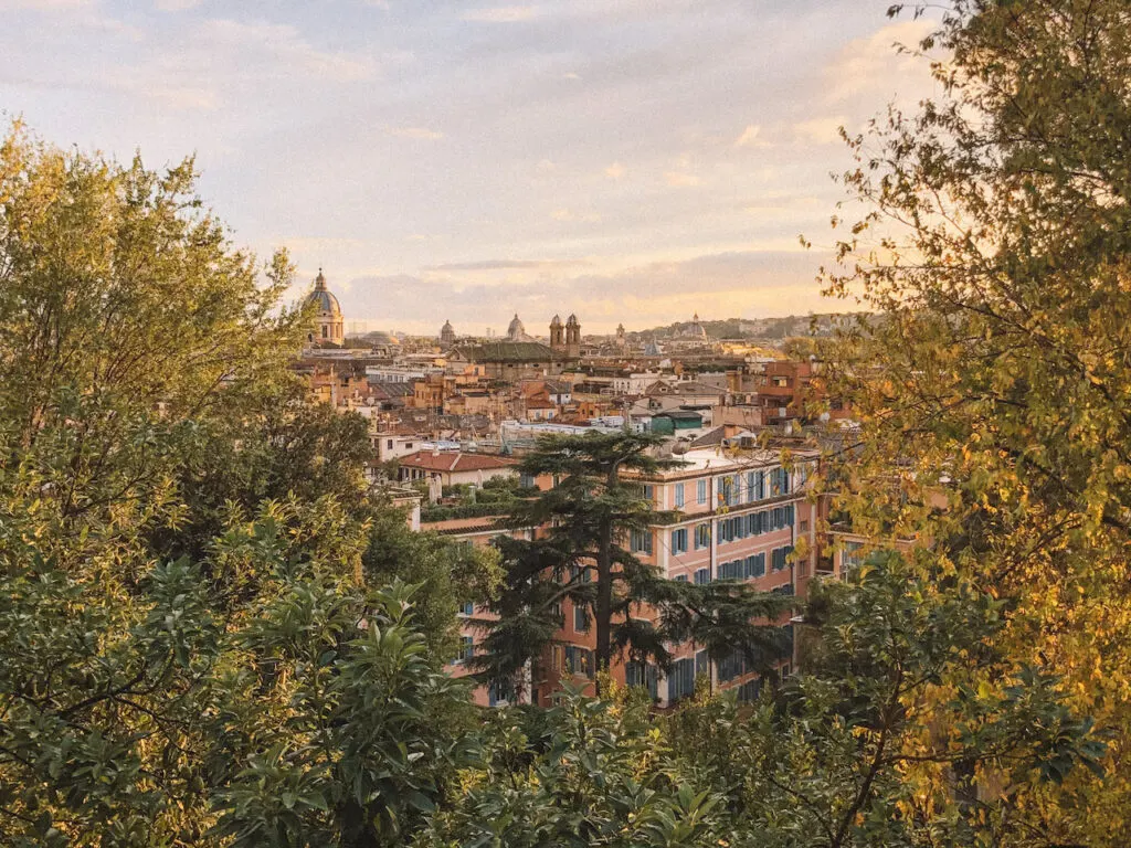 An image of Rome framed by two lush trees