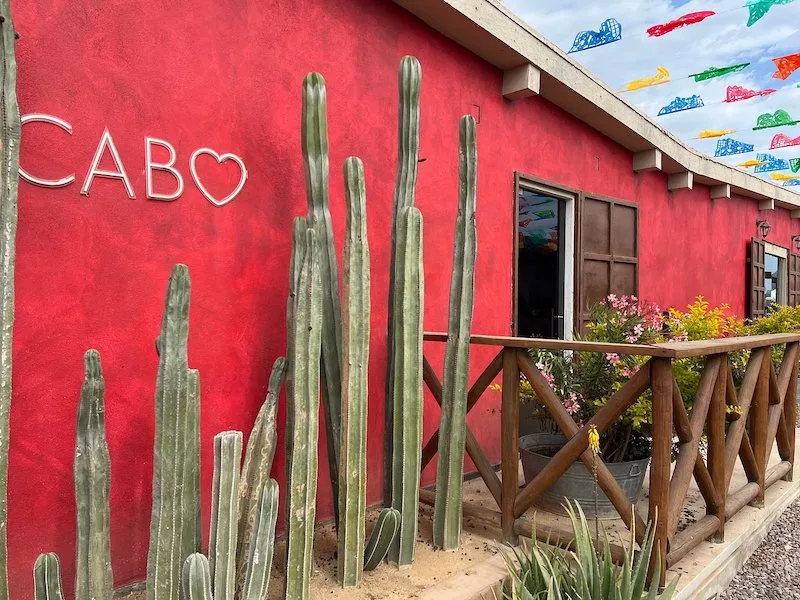 The red wall of a house lined by cacti and the word CABO on the wall.