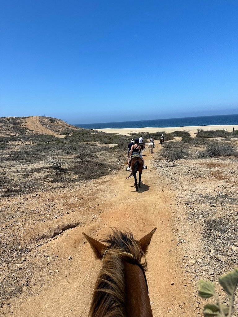 Point of view from a person who's riding a horse on a rugged terrain. In front there are other horses and riders and you can see ahead the beach and the ocean.