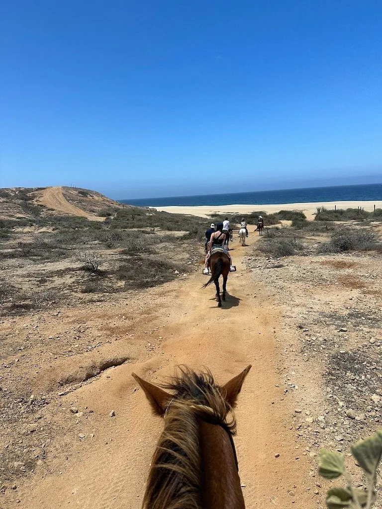 Point of view from a person who's riding a horse on a rugged terrain. In front there are other horses and riders and you can see ahead the beach and the ocean.