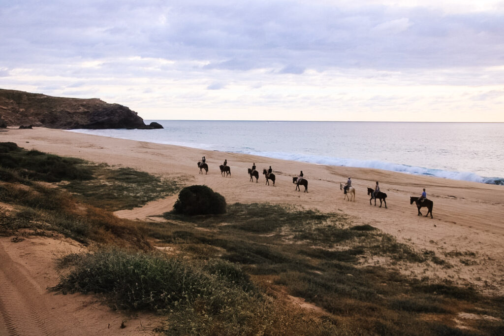 Eight horses with riders are walking in a line on the beach by the sea at sunset time.