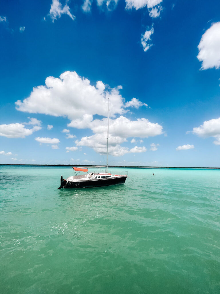 Black, white and red catamaran on the water and a blue sky with a few clouds.