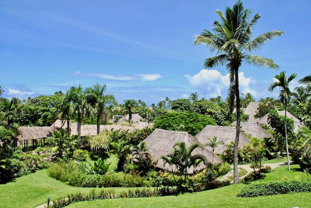 thatched roofs seen amidst lush green vegetation and palm trees