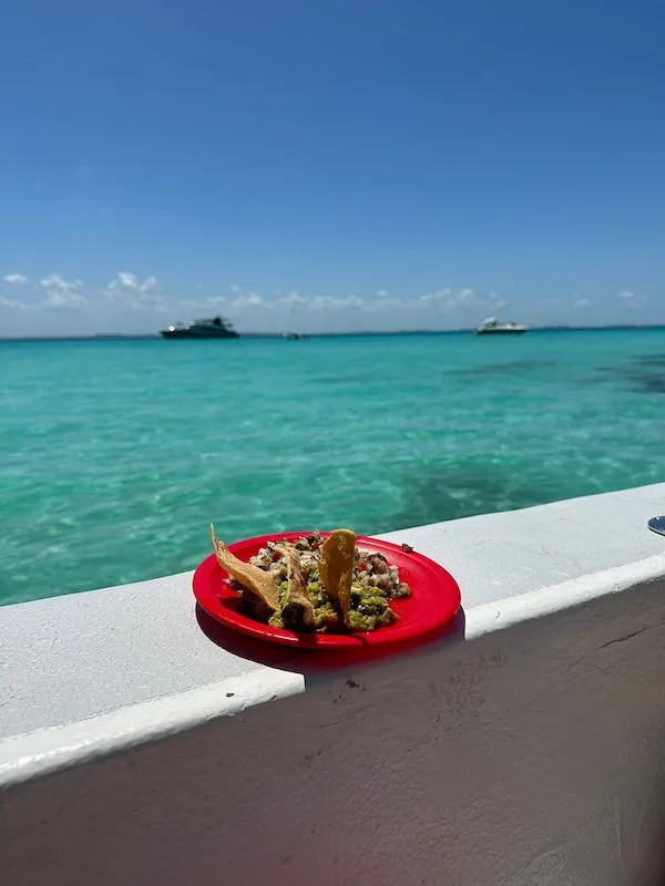 A red playe with food sitting on top of a boatrail and the sea in the background.