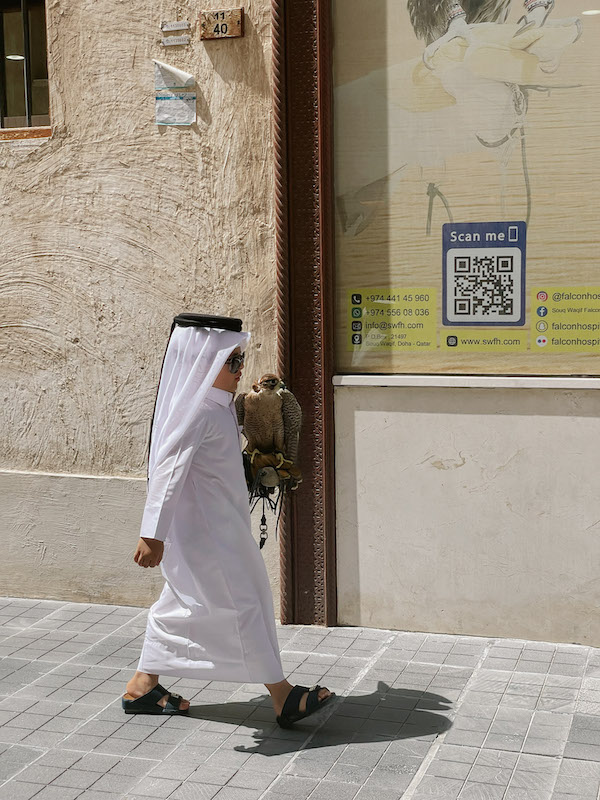 A boy wearing an arab traditional dress, holding a falcon in his left arm