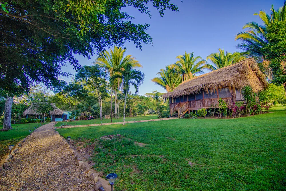 A thatch-roofed lodge with grass all around it, and palm trees in the back 