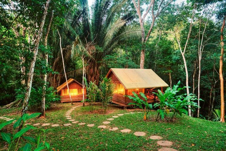 Two small wooden cabins surrounded by jungle 