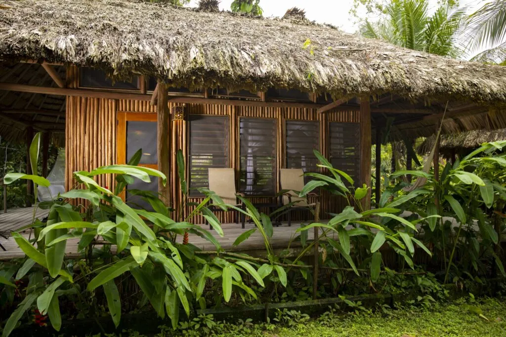 A thatch-roofed house with lush plants at the front