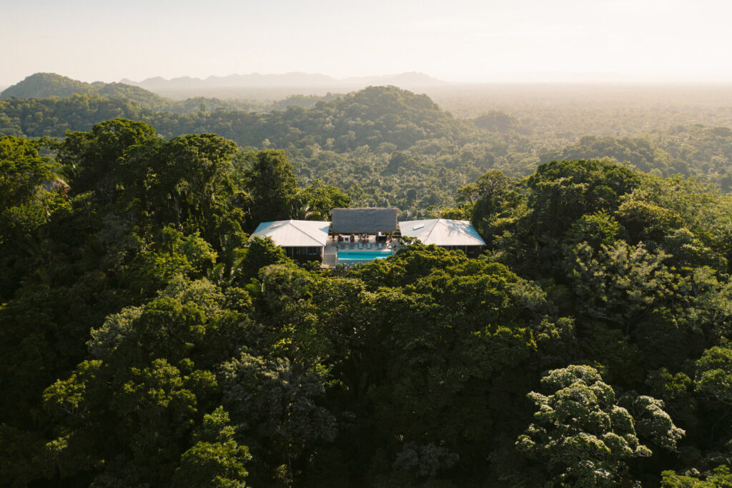 A tree  lodge peeking out in a sea of lush, dense jungle