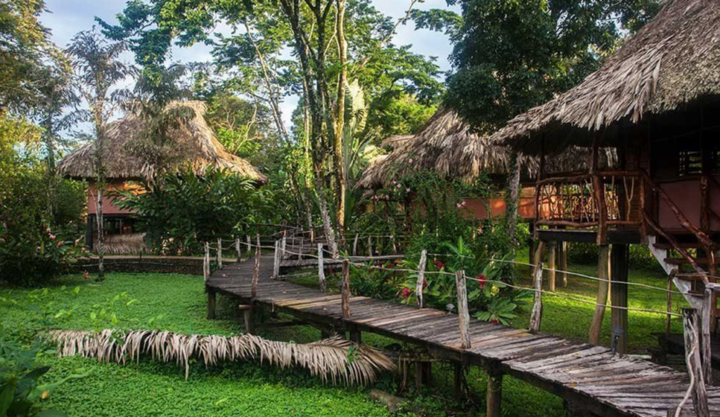 A wooden boardwalk with thatch-roofed lodges