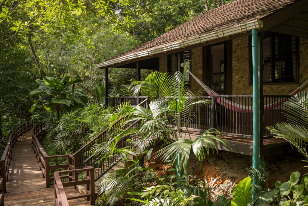 A lodge with a hammock in a terrace, completely surrounded by lush vegetation