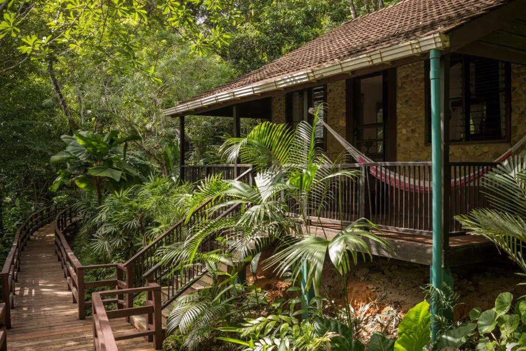 A lodge with a hammock in a terrace, completely surrounded by lush vegetation