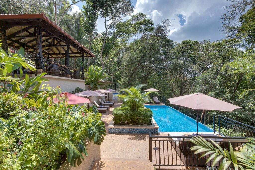 A swimming pool to the right, and an elevated terrace to the left, with trees and plants in between 