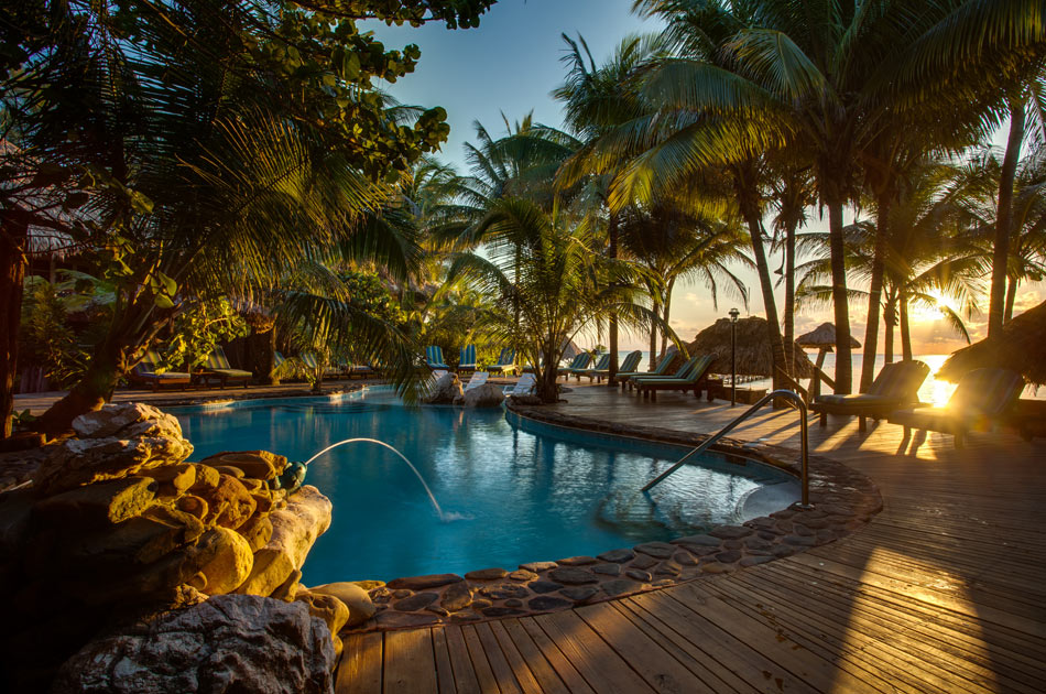 A swimming pool surrounded by a wooden deck with sunbeds, and palm trees