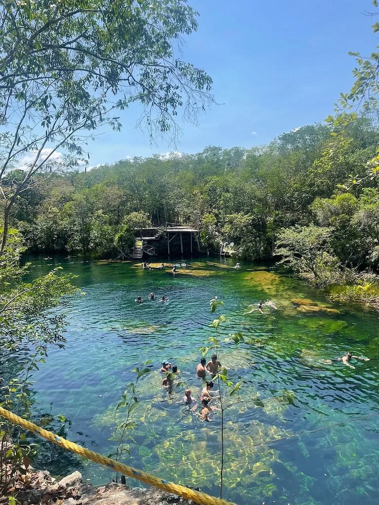 People swimming at Cenote Jardin del Eden in Playa del Carmen.